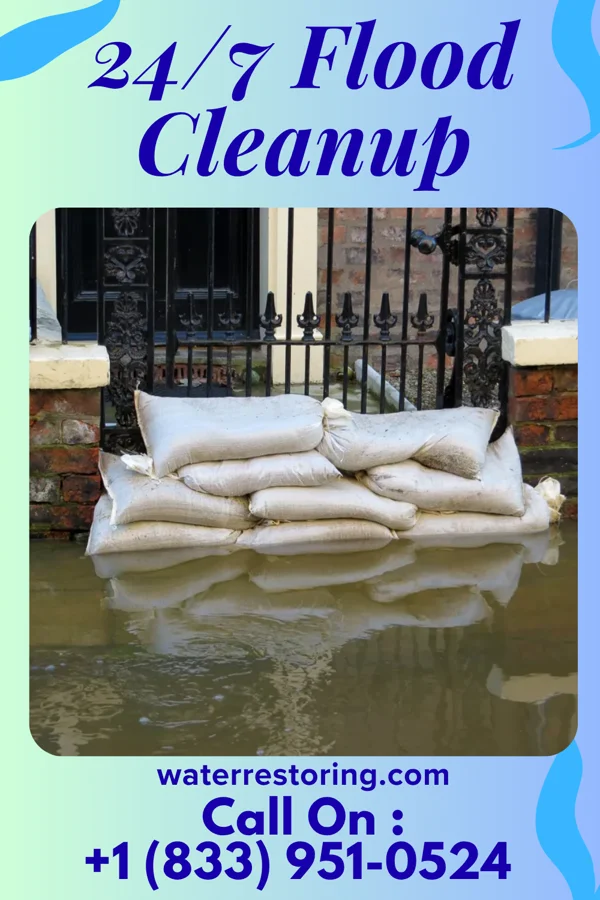 24/7 Flood Cleanup in Wilsonville, AL