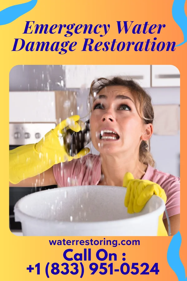 Emergency Water Damage Restoration in Wilsonville, AL