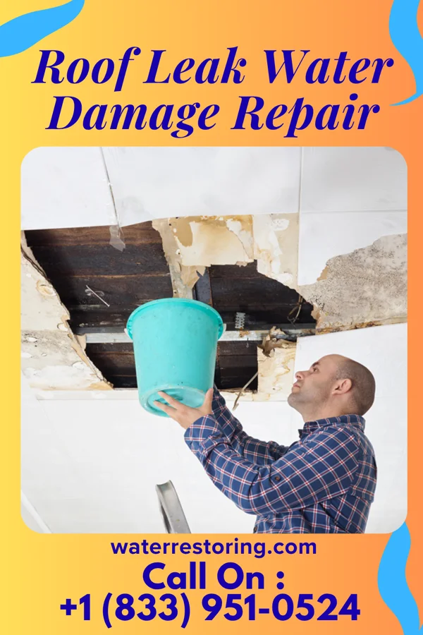 Roof Leak Water Damage Repair in Wilsonville, AL